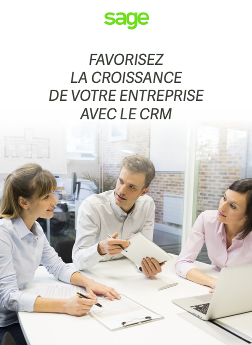 Sage 100 Force de Vente, Guide force de vente